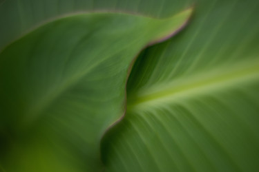 Similar image 21608918