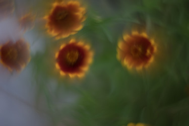 Similar image 21608919