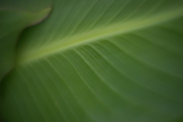 Similar image 21608920