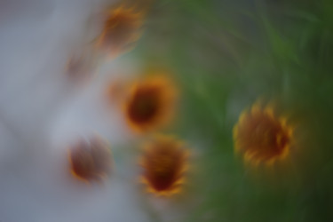 Similar image 21608922