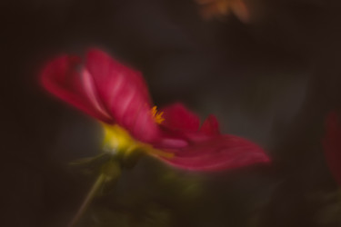 Similar image 21608923