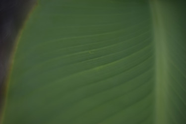 Similar image 21608924