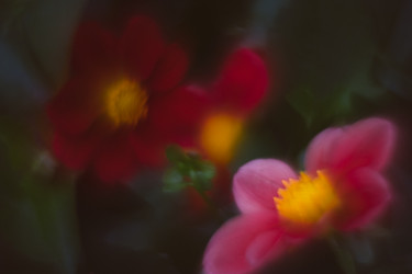 Similar image 21608925