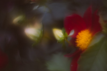 Similar image 21608926