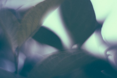 Similar image 21608927