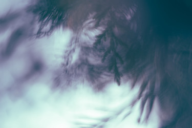 Similar image 21608929