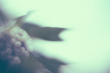 Similar image 21608930