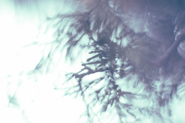 Similar image 21608931