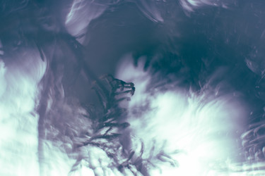 Similar image 21608932