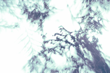 Similar image 21608933