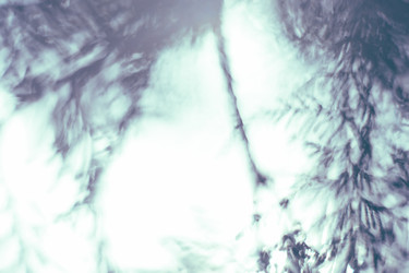 Similar image 21608934