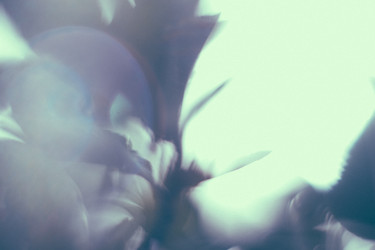 Similar image 21608936