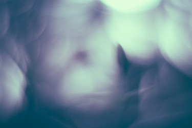 Similar image 21608937