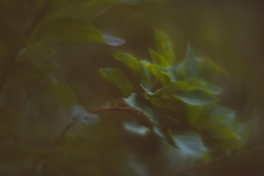 Similar image 21608938