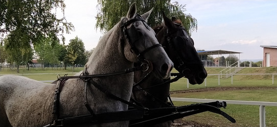 Similar image 21627189