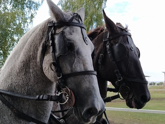 Similar image 21627190