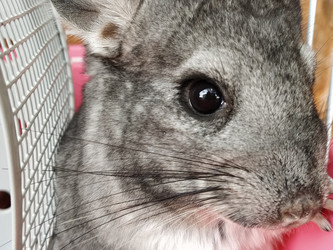 Similar image 21627192