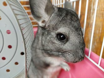 Similar image 21627193