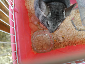 Similar image 21627195