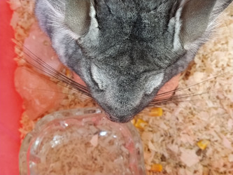 Similar image 21627196