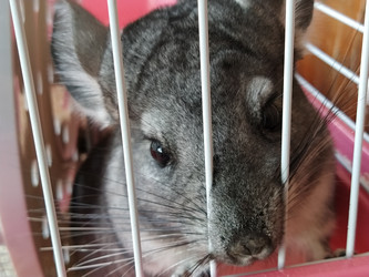 Similar image 21627539