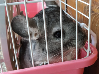 Similar image 21627541