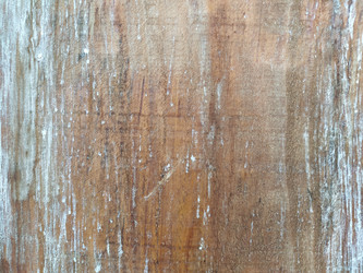 Similar image 21627546