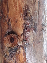 Similar image 21627551