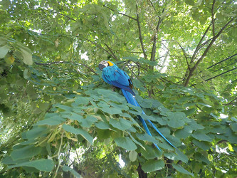 Similar image 21627552