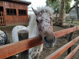 Similar image 21627553