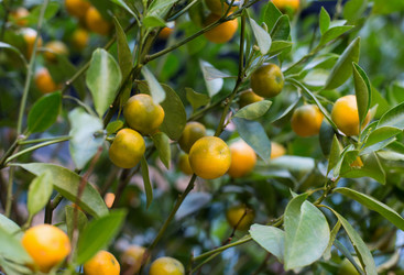 Similar image 21608942