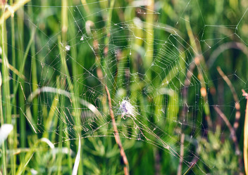 Similar image 21608950