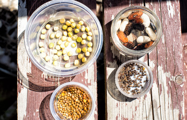 Similar image 21608956