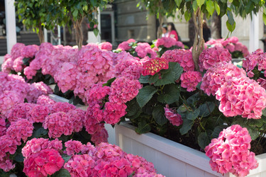 Similar image 21608957