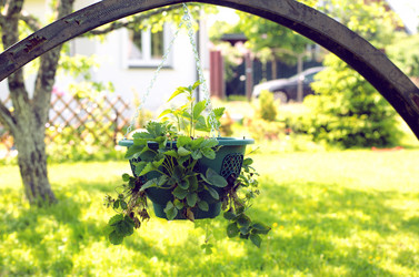 Similar image 21608958