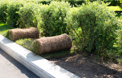 Similar image 21608969