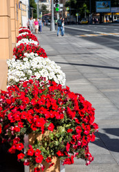 Similar image 21608970