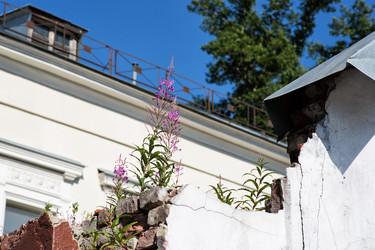 Similar image 21608971