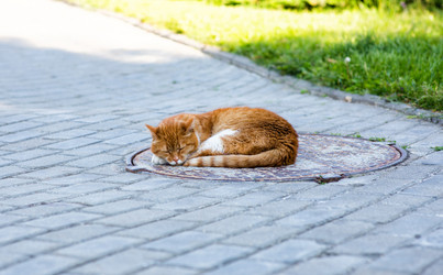 Similar image 21608976