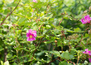 Similar image 21608978