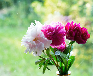 Similar image 21608988