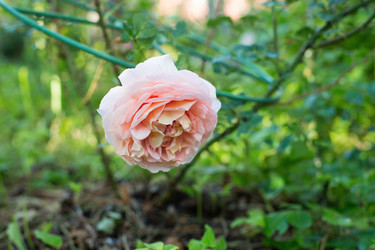 Similar image 21608992