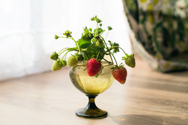 Similar image 21608995