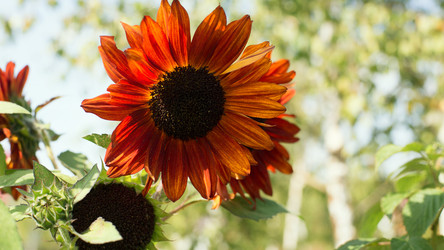 Similar image 21608997