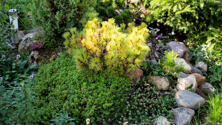 Similar image 21608999