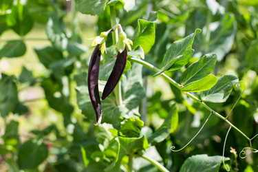 Similar image 21609002