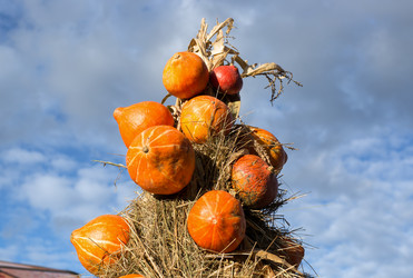 Similar image 21609005