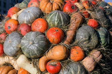 Similar image 21609006