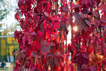 Similar image 21609008