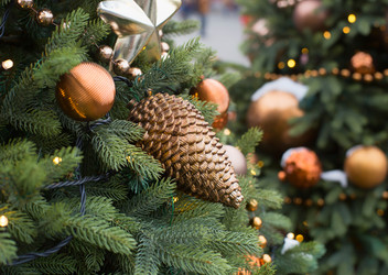 Similar image 21609018